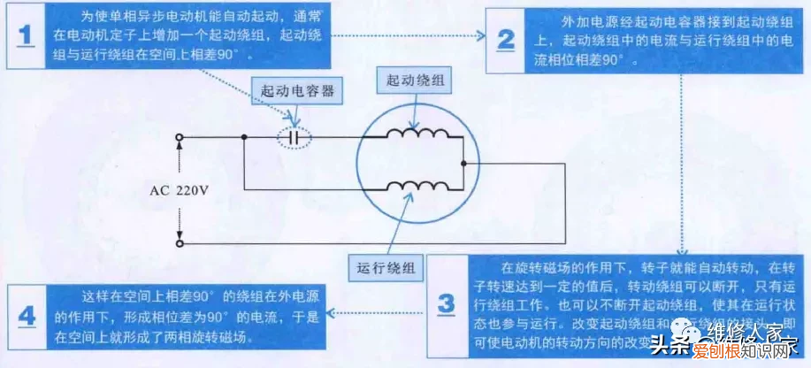 波轮式洗衣机洗涤系统结构图