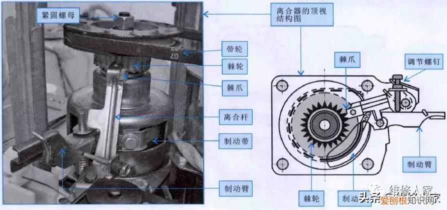 波轮式洗衣机洗涤系统结构图