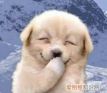 清理系统垃圾命令代码