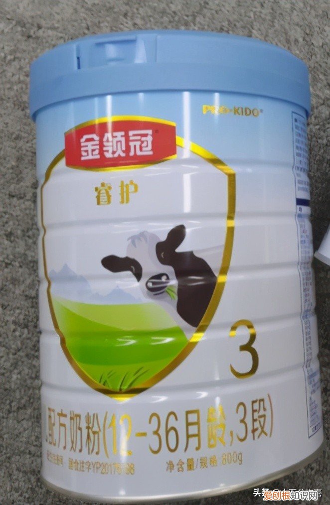 进口奶粉品牌哪个好