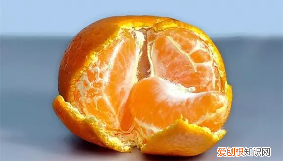 如何彻底消灭跳蚤