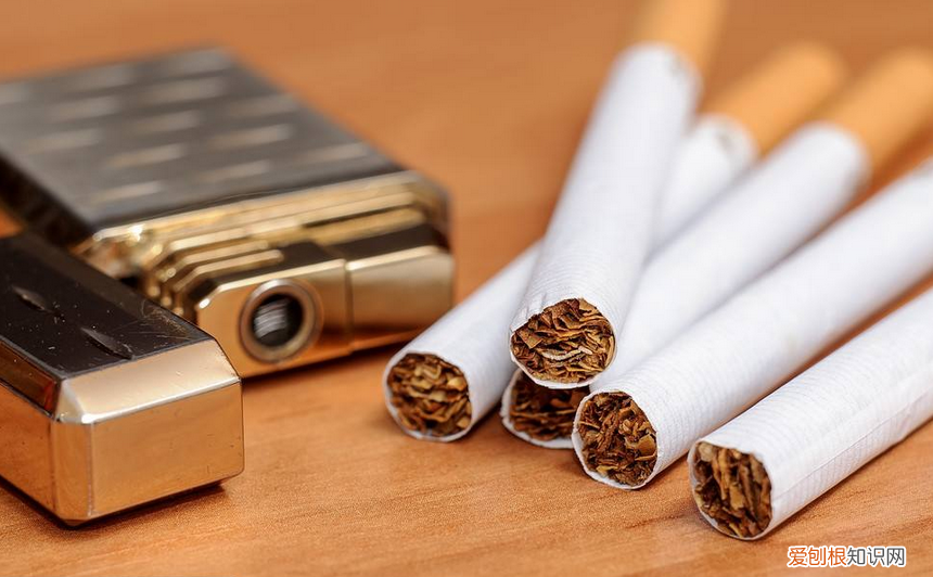 如何彻底消灭跳蚤