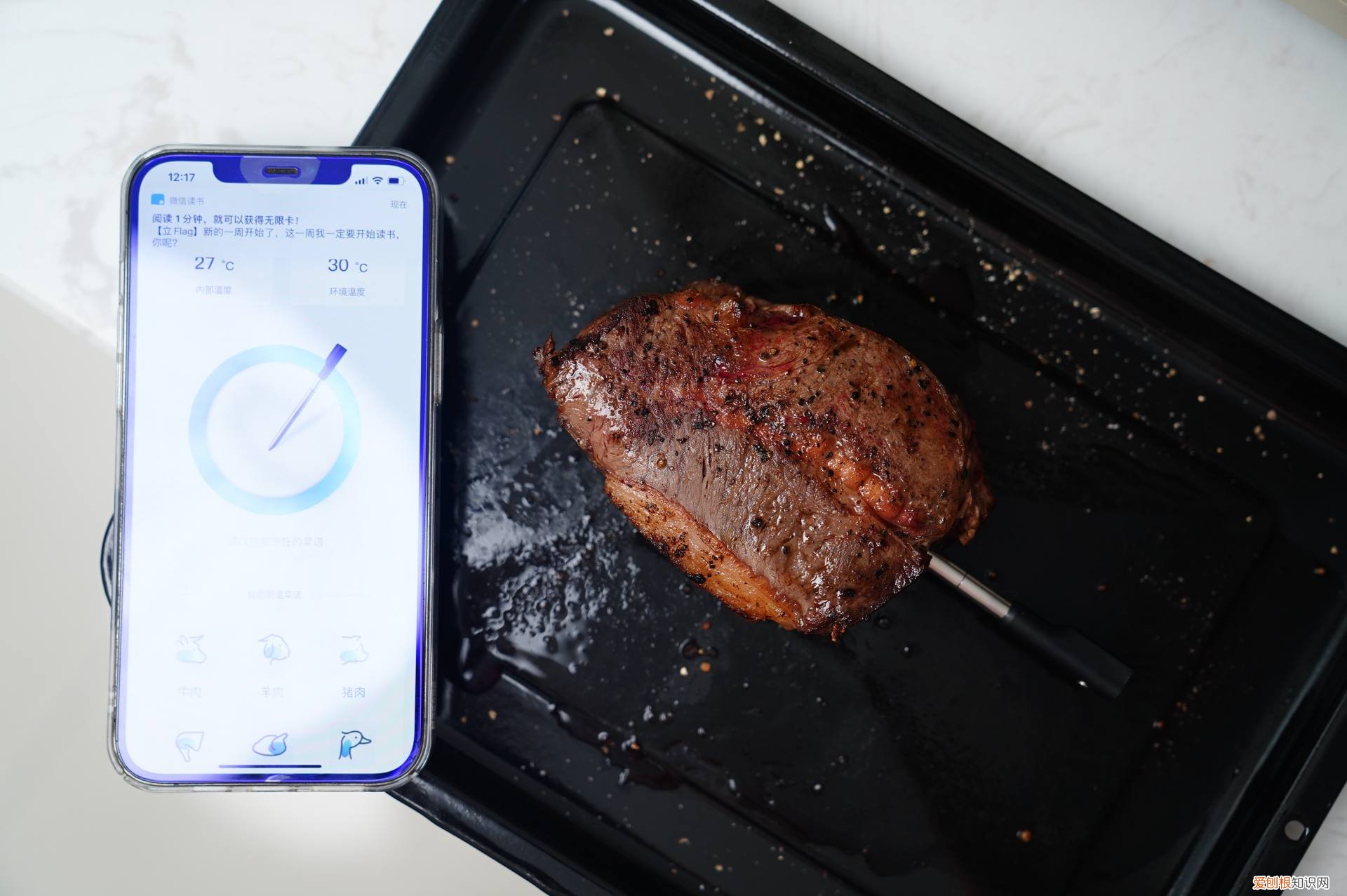 海氏i7和BRUNO熏烤箱详细对比评测