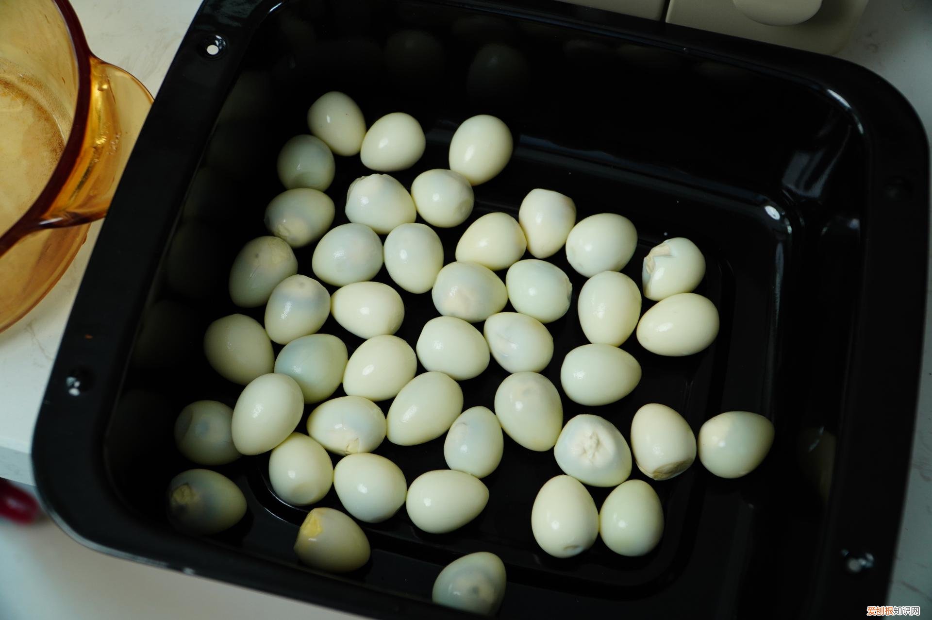 海氏i7和BRUNO熏烤箱详细对比评测