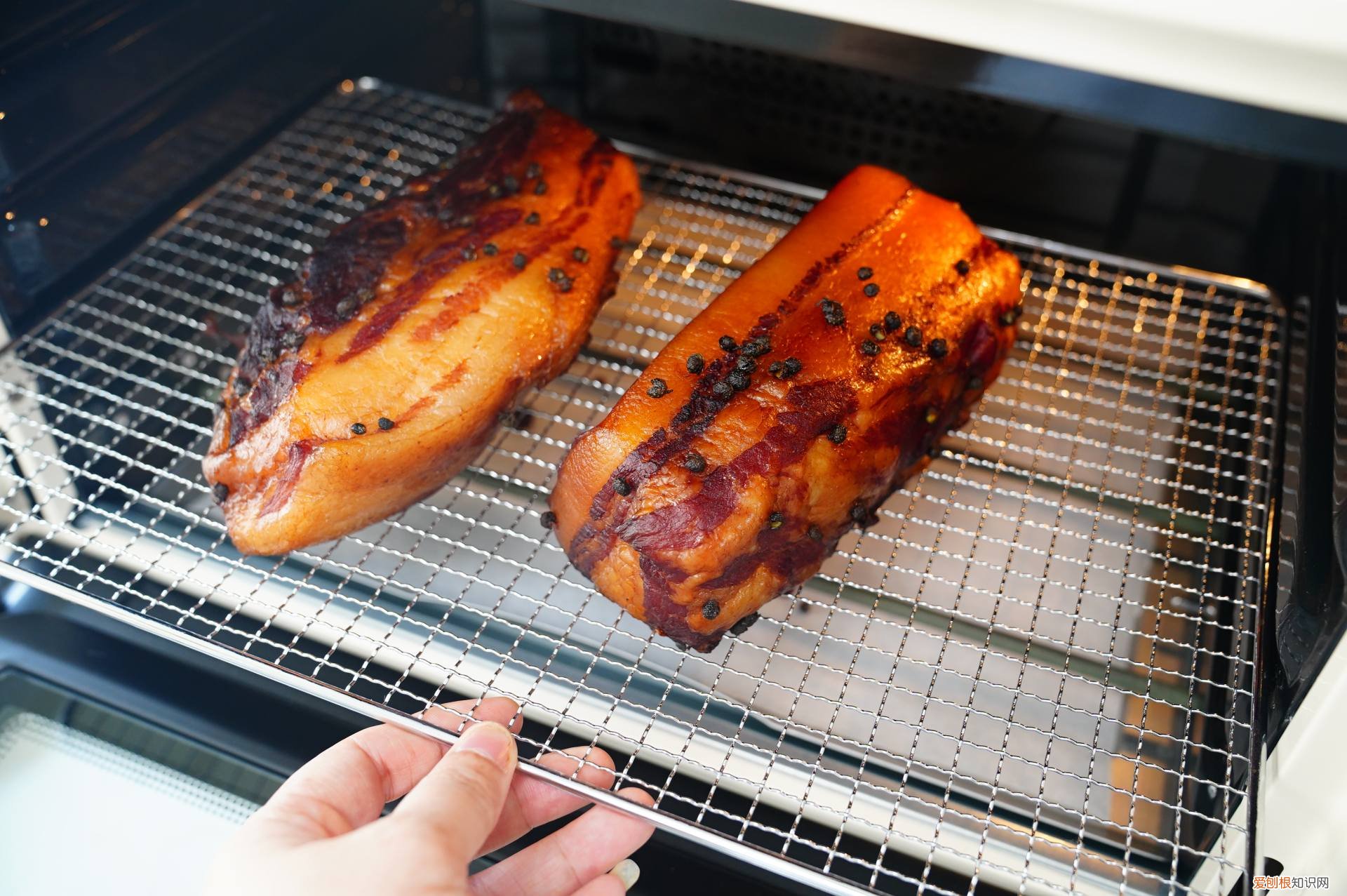 海氏i7和BRUNO熏烤箱详细对比评测