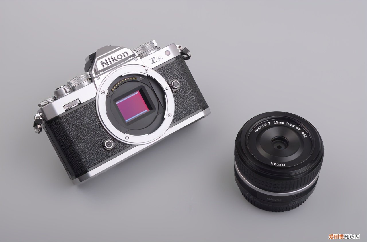 复古单反相机哪个好