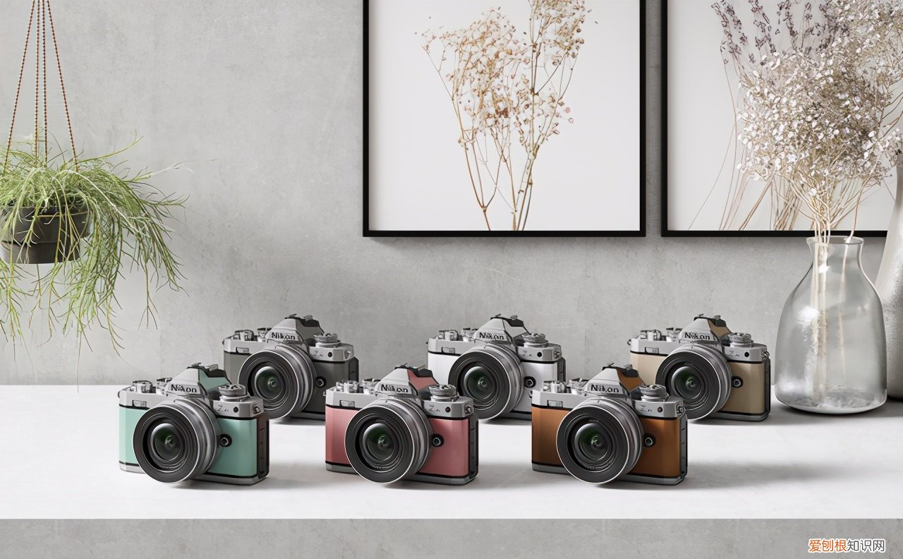 复古单反相机哪个好