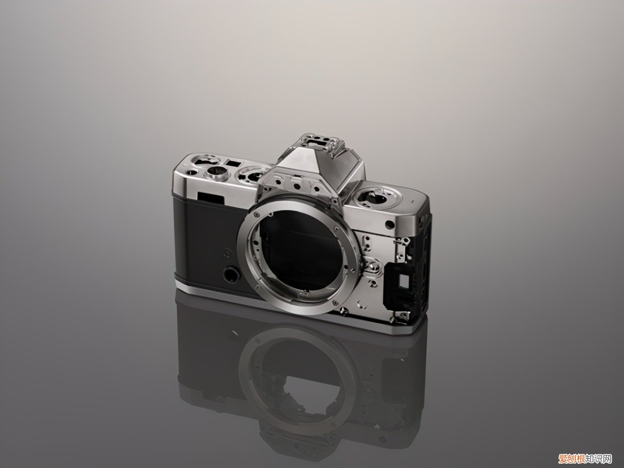 复古单反相机哪个好