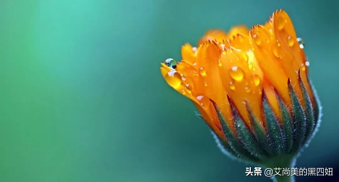 化妆品日常销售技巧及话术分享