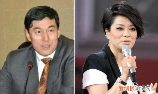 百亿富豪解直锟去世!享年60岁,与毛阿敏结婚18年育有一双儿女