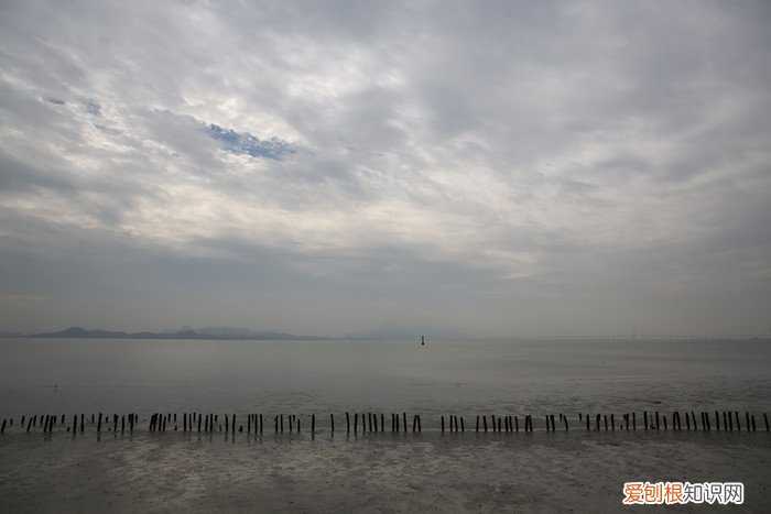 腾龙SP2470G2评测