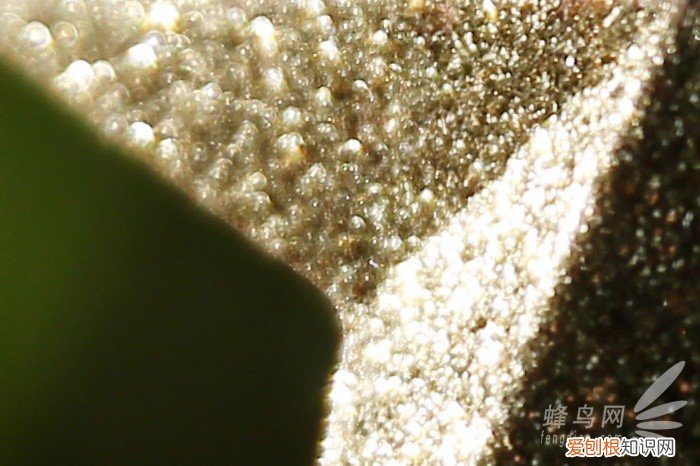 腾龙SP2470G2评测