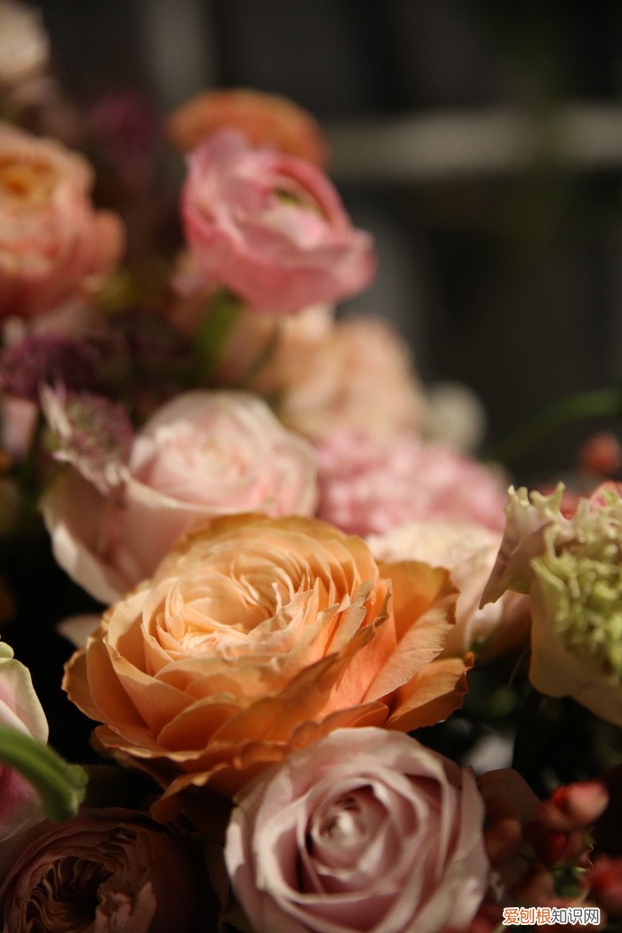 腾龙SP2470G2评测