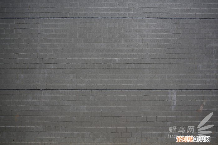 腾龙SP2470G2评测