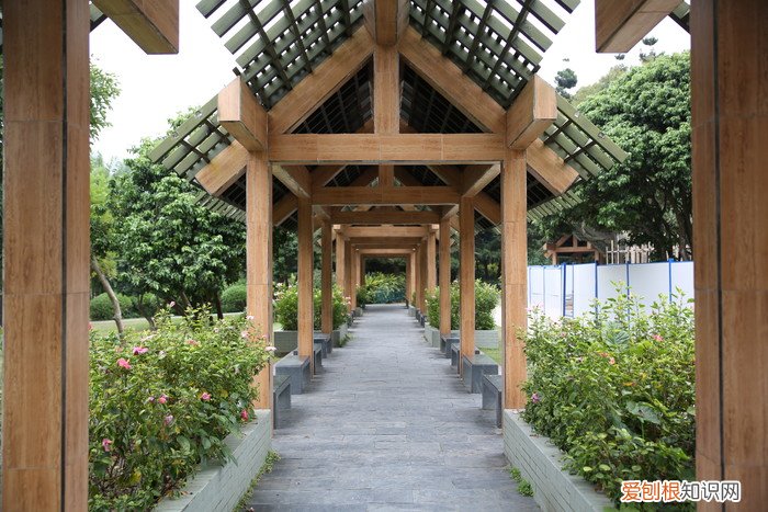 腾龙SP2470G2评测