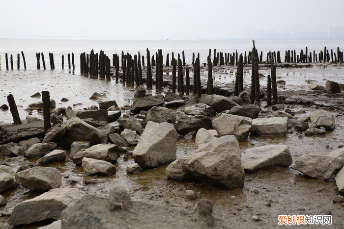 腾龙SP2470G2评测