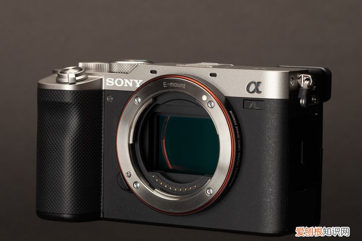 适合旅行摄影的两款索尼微单：RX100 VII 和 a7C对比评测，哪个值得买