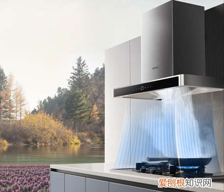 帅康隔烟灶KB02评测结果怎么样