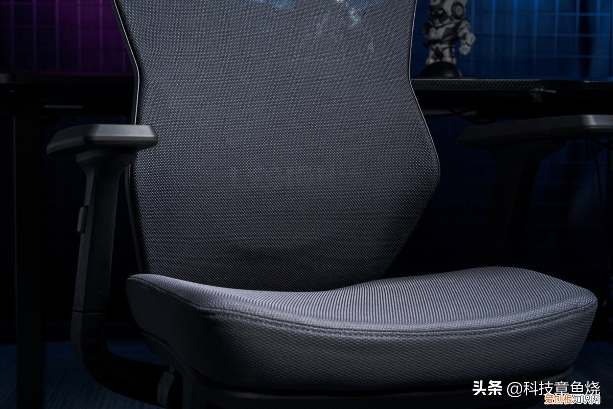 电竞椅和电脑椅的区别