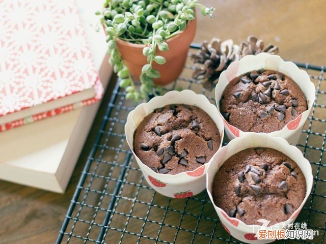 佳能EOS 100D拍照技巧