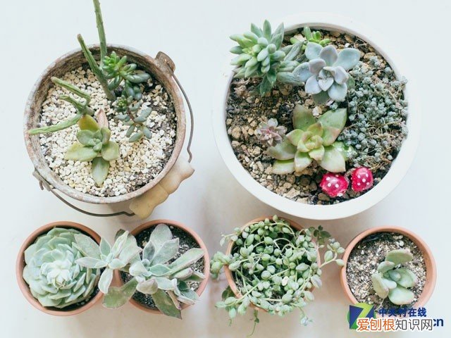 佳能EOS 100D拍照技巧