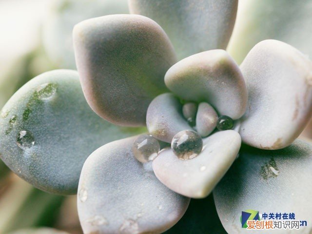 佳能EOS 100D拍照技巧