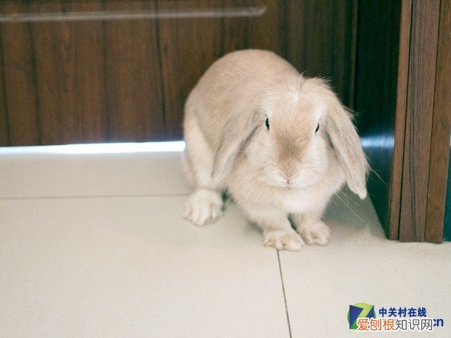 佳能EOS 100D拍照技巧