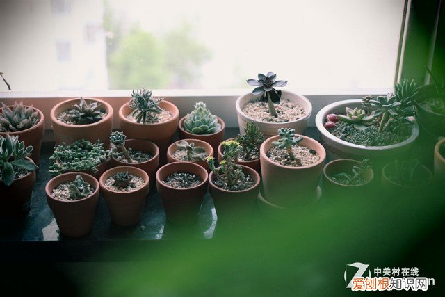 佳能EOS 100D拍照技巧