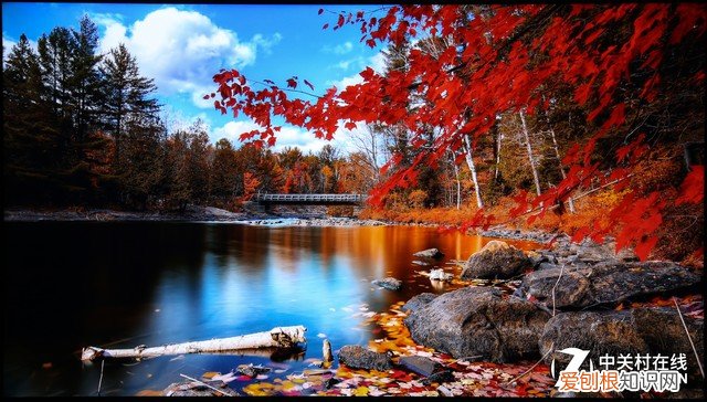 酷开P30防蓝光电视评测