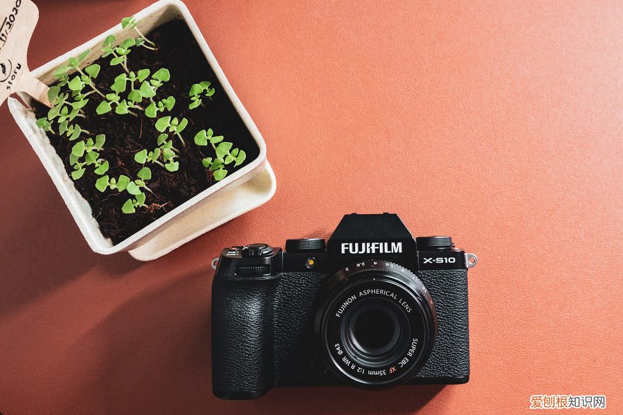 富士X-S10值得买么