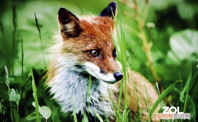 明基E520智能投影评测