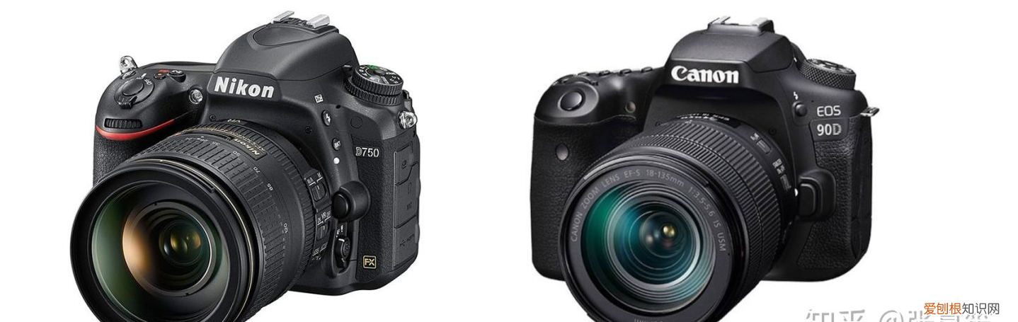 2021年新手入门级相机选购指南