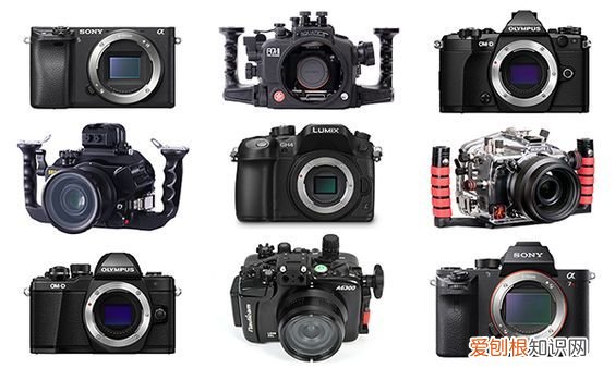 2021年新手入门级相机选购指南
