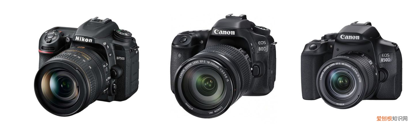 2021年新手入门级相机选购指南