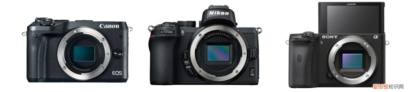 2021年新手入门级相机选购指南