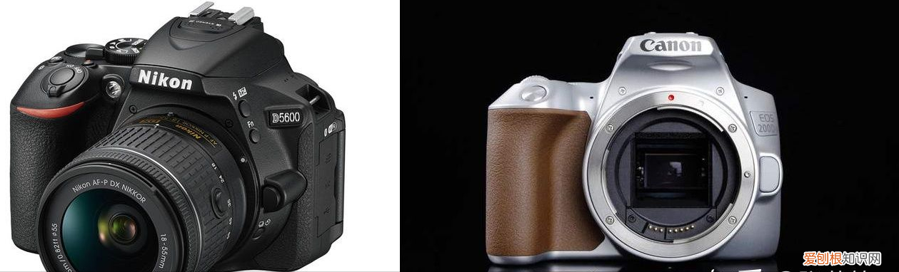 2021年新手入门级相机选购指南