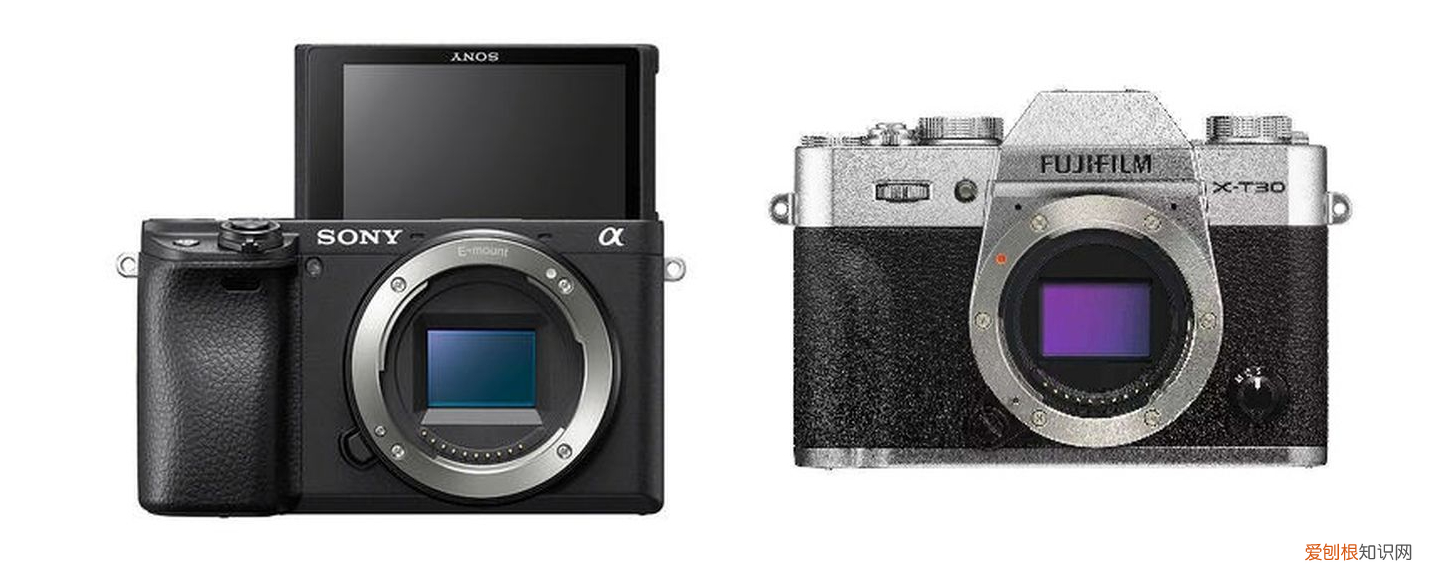 2021年新手入门级相机选购指南