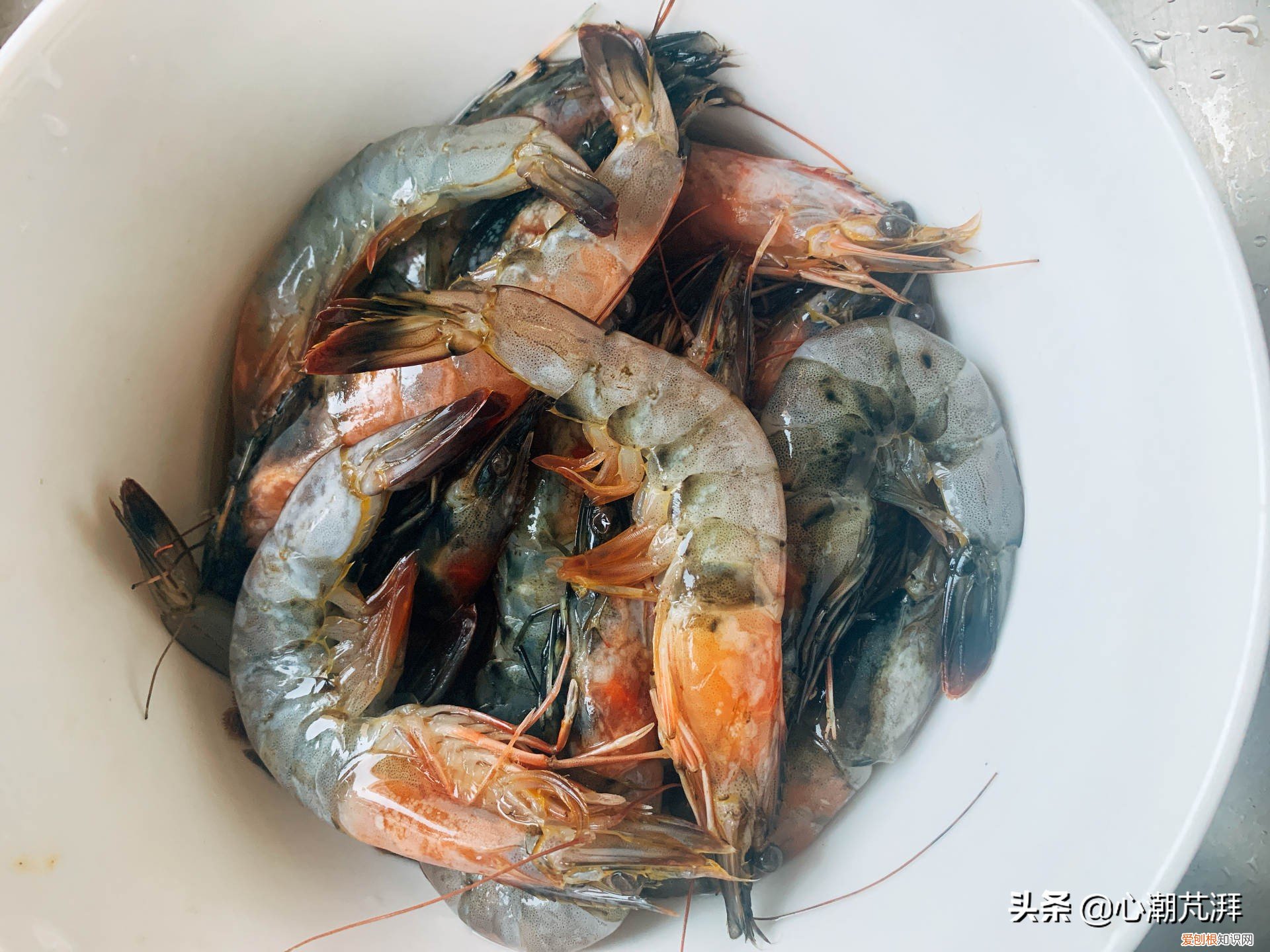 5款空气炸锅评测,海氏K3表现如何