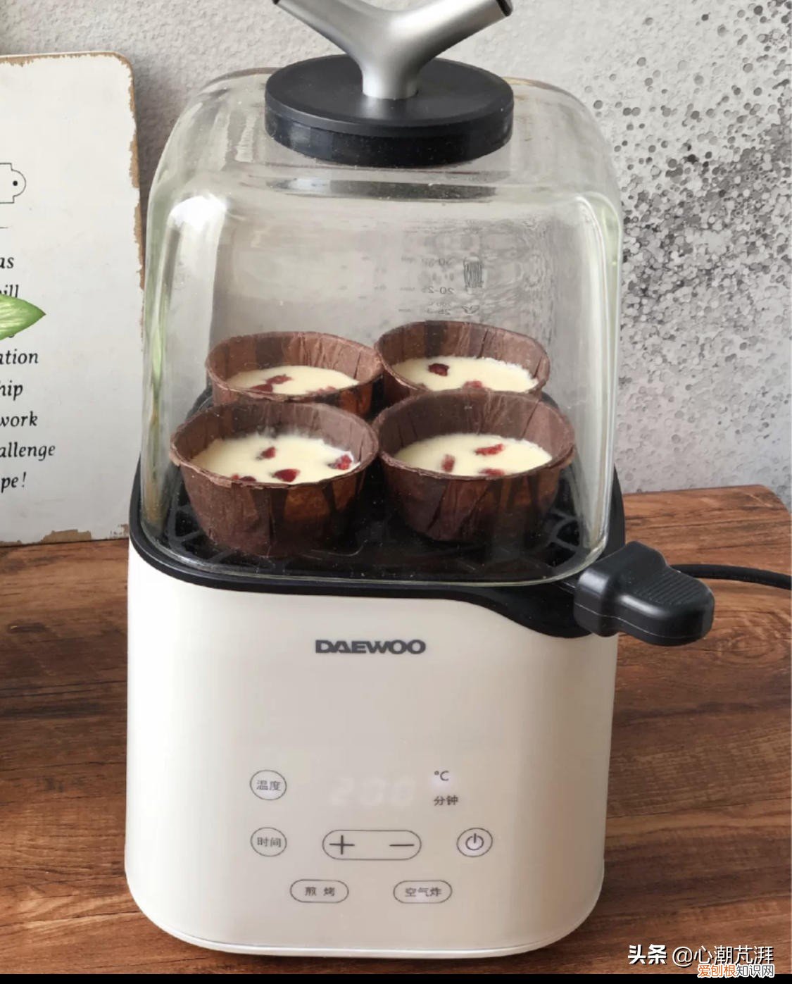 5款空气炸锅评测,海氏K3表现如何