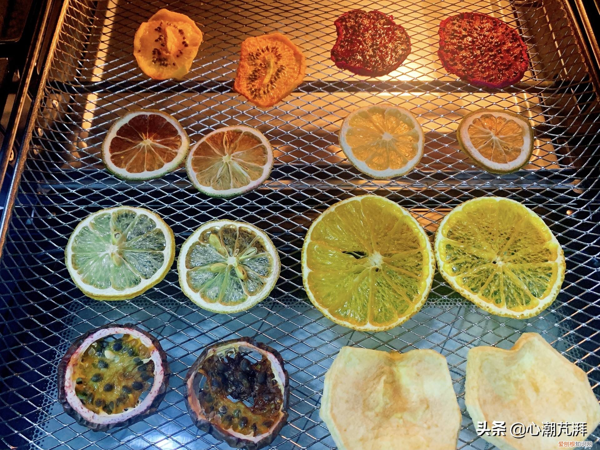 5款空气炸锅评测,海氏K3表现如何