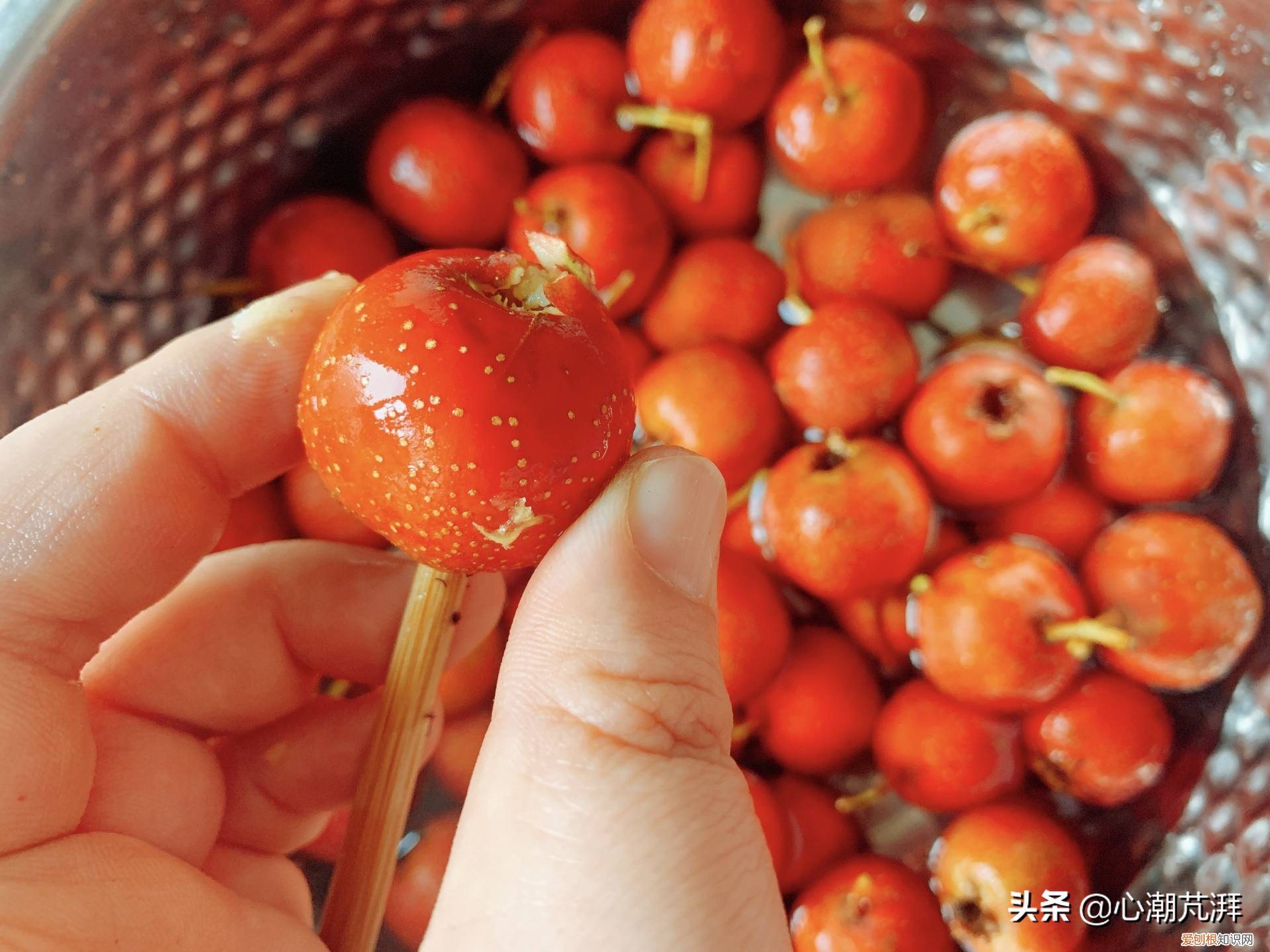 5款空气炸锅评测,海氏K3表现如何