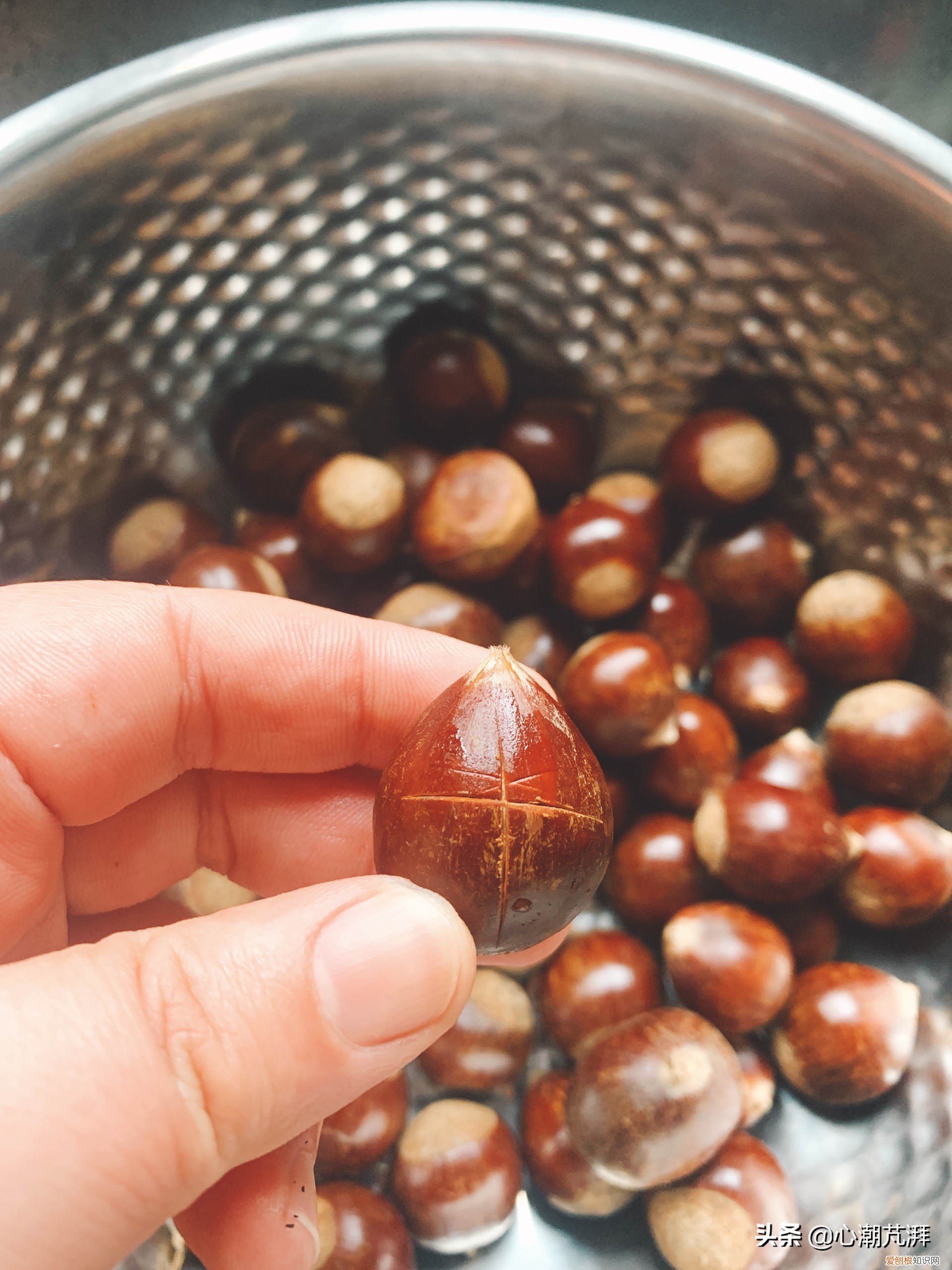 5款空气炸锅评测,海氏K3表现如何