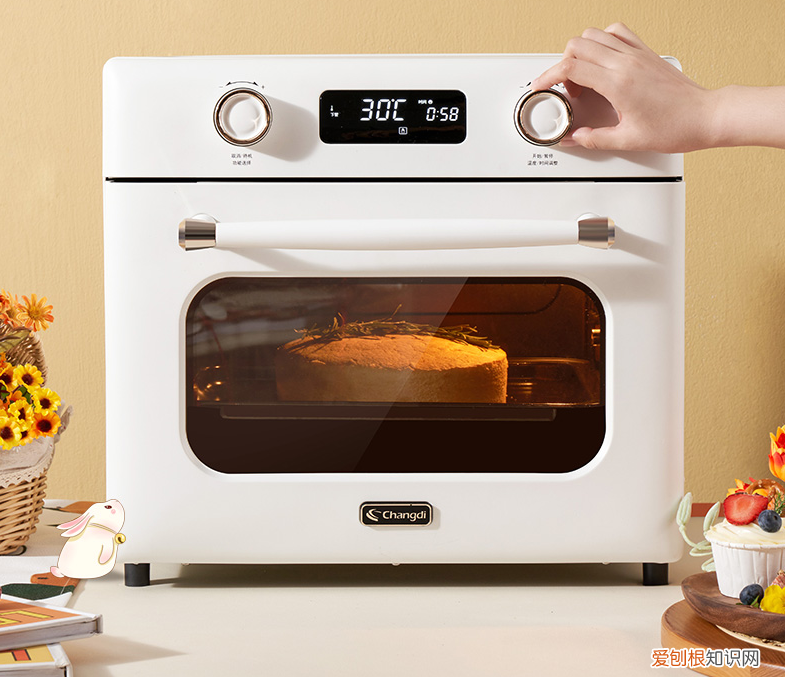 空气炸锅和空气炸烤箱有什么区别