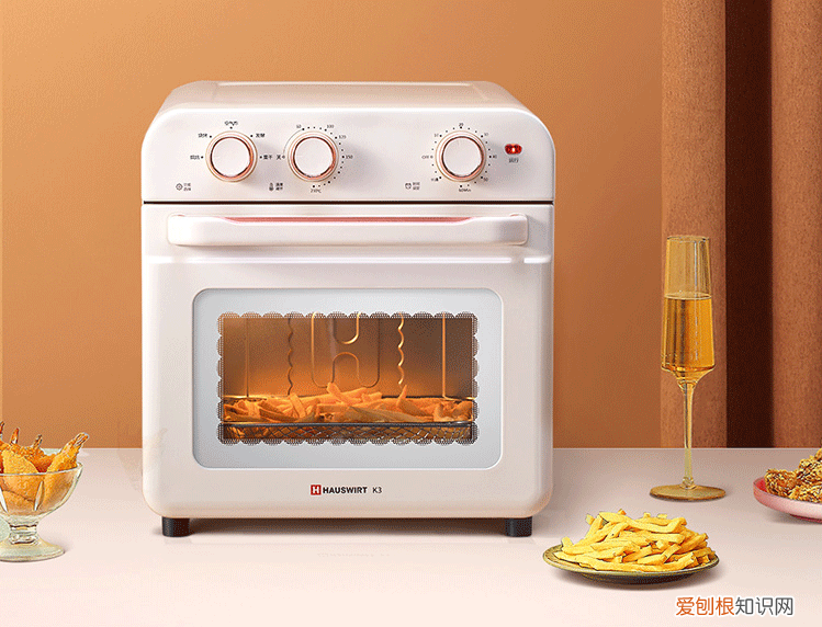 空气炸锅和空气炸烤箱有什么区别
