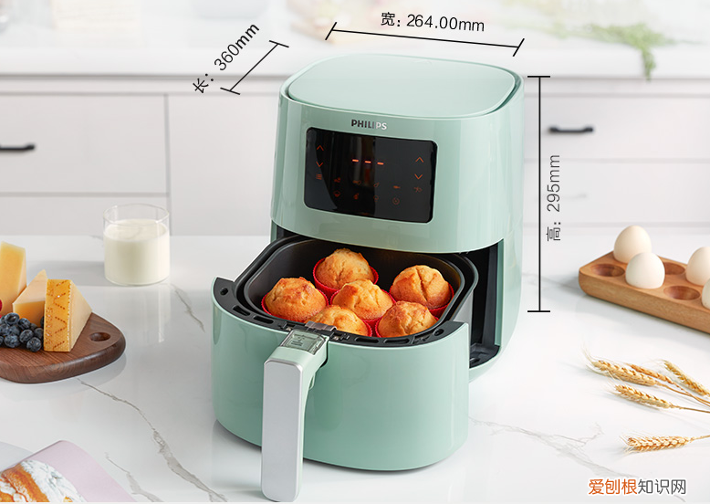 空气炸锅和空气炸烤箱有什么区别
