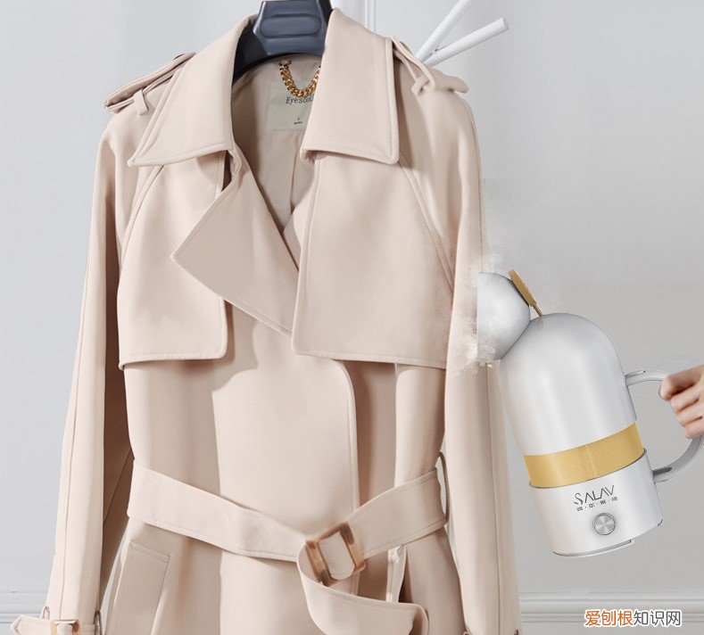 贝尔莱德胶囊手持挂烫机好用么