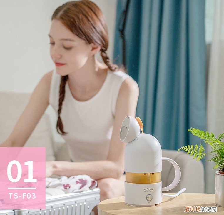 贝尔莱德胶囊手持挂烫机好用么