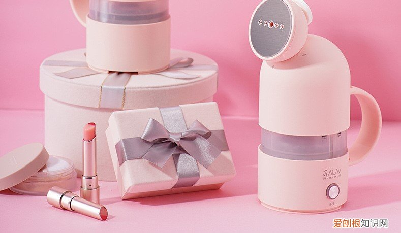 贝尔莱德胶囊手持挂烫机好用么