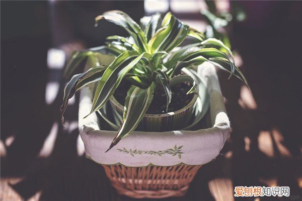 励志文案正能量治愈干净