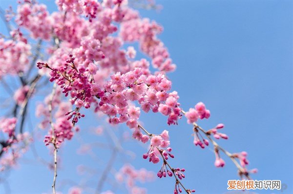 励志文案正能量治愈干净